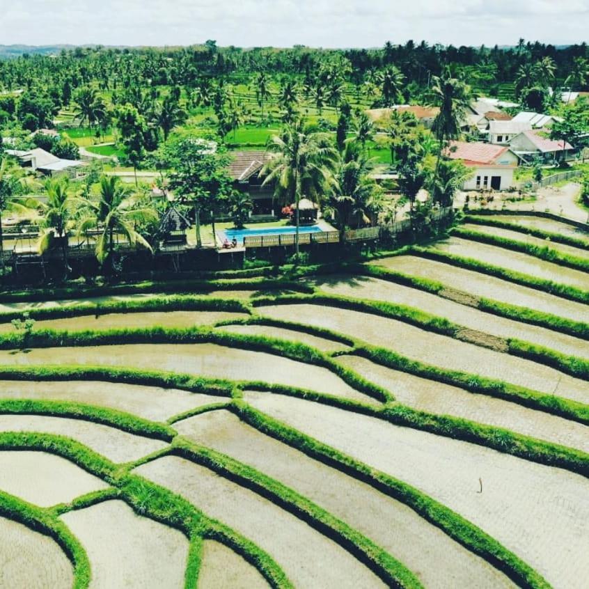 Peraja Bungalows Loyok Sangyang Ngoại thất bức ảnh