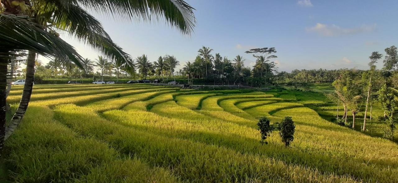 Peraja Bungalows Loyok Sangyang Ngoại thất bức ảnh